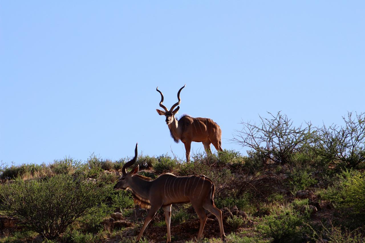 Kgalagadi Lodge Askham Dış mekan fotoğraf